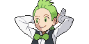 Turtwig