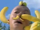 Wobbachomp