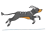 Houndoom Heart